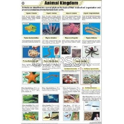 Animal Charts, Zoology, School Education Animal Charts, Zoology, School Education